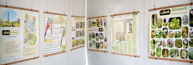 Ausstellungstafeln zur Pflanzenvielfalt auf dem Alsengelände